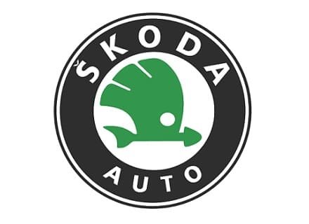 Asesoria-y-venta-de-aires-acondicionados-para-carros-Skoda-en-cali