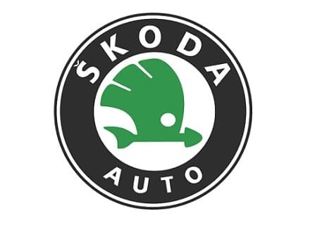 Servicio-de-Mecanica-basica-para-carros-Skoda-en-cali